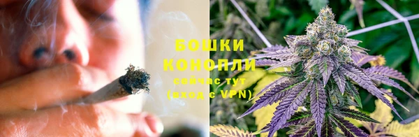 индика Баксан