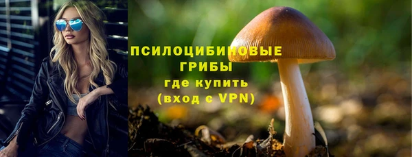 трава Балахна