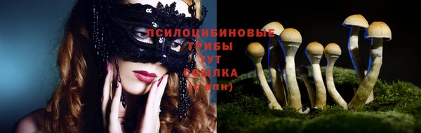 индика Баксан