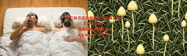 трава Балахна