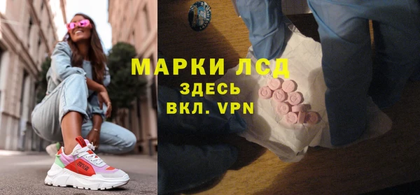 индика Баксан