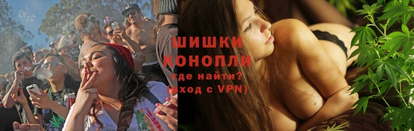 шишки Аркадак