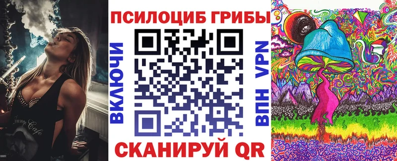 Галлюциногенные грибы Psilocybe  Спасск-Дальний 